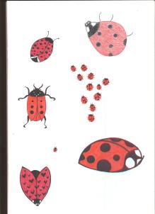 Lady bug drawings