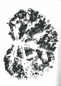 Leaf Imprint 1